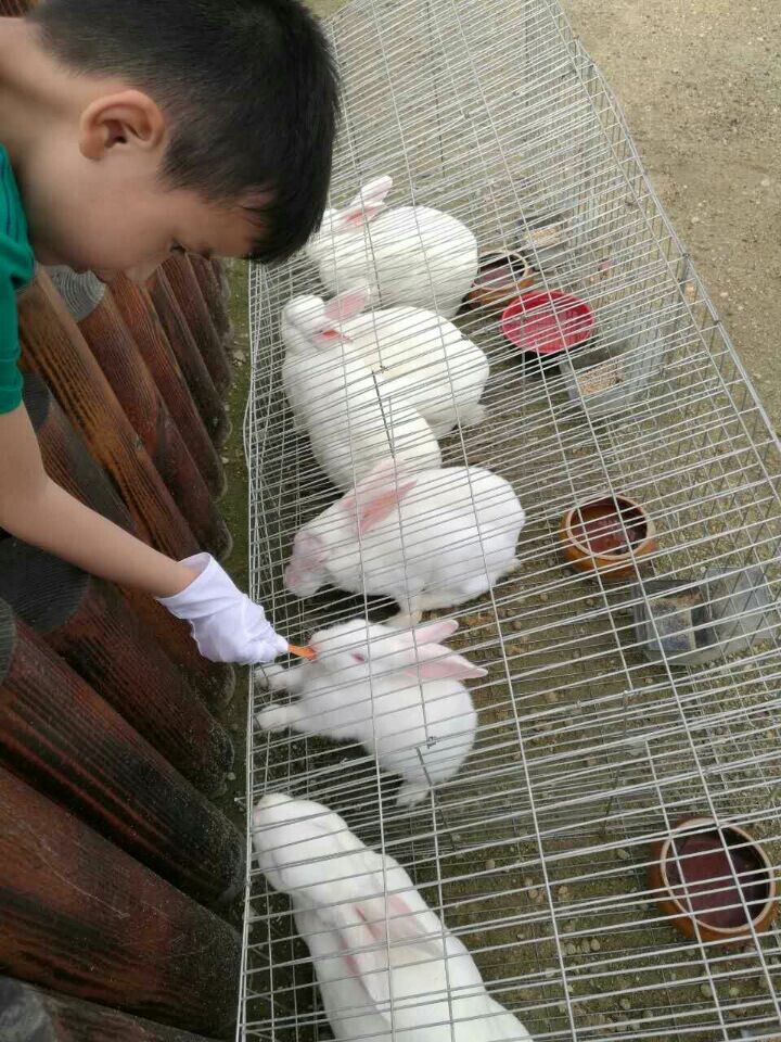 问鼎国际(中国区) - 官方网站