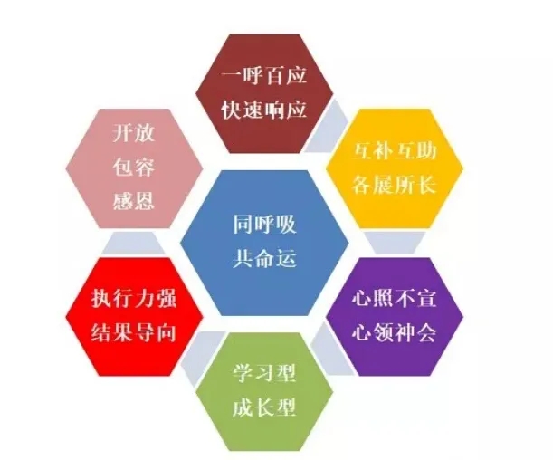 问鼎国际(中国区) - 官方网站